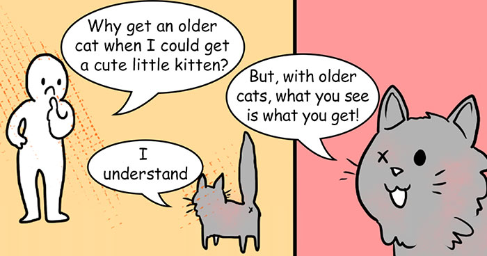 This Comic About ‘Unadoptable’ Cats Is Amazing