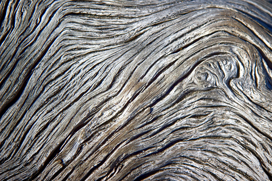 My Wife And I Spent Sometime Photographing The Otherworldly And Breathtaking Views Of Driftwood Beach