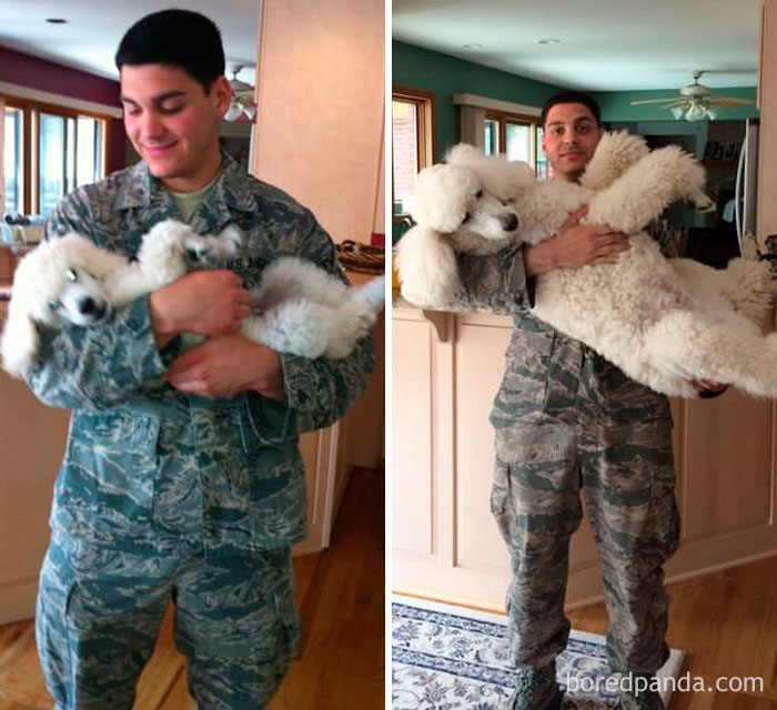 My Little Bro And Eli The Poodle, On His First And Last Day Of National Guard. 6 Years Apart
