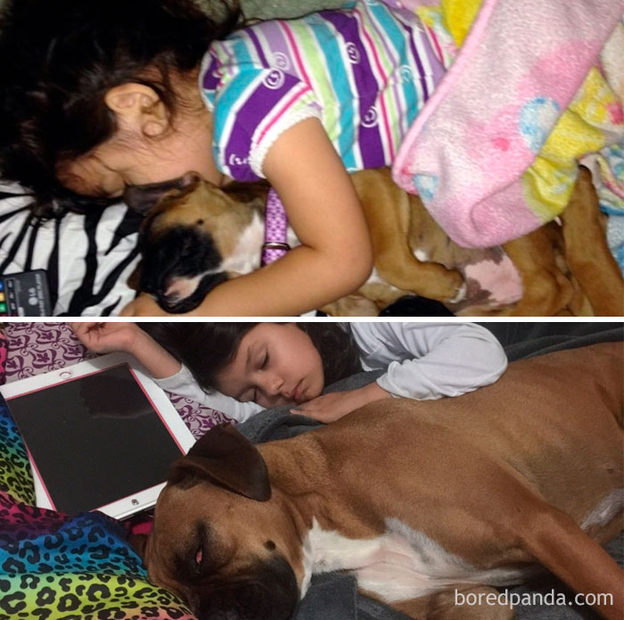 My Daughter And Our Boxer Lily. Taken 2 Years Apart