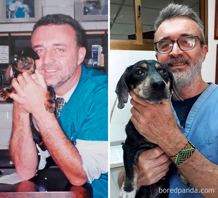 Veterinario cuidando del mismo perro 15 años después