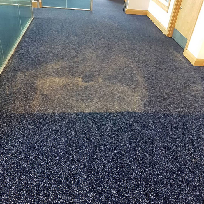 Deep Clean Of Office's Carpet