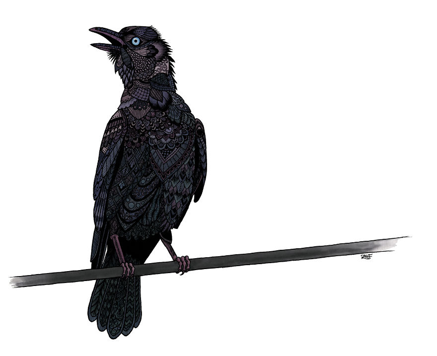 Verklempt Crow