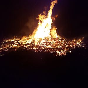 sambarkley_14 avatar