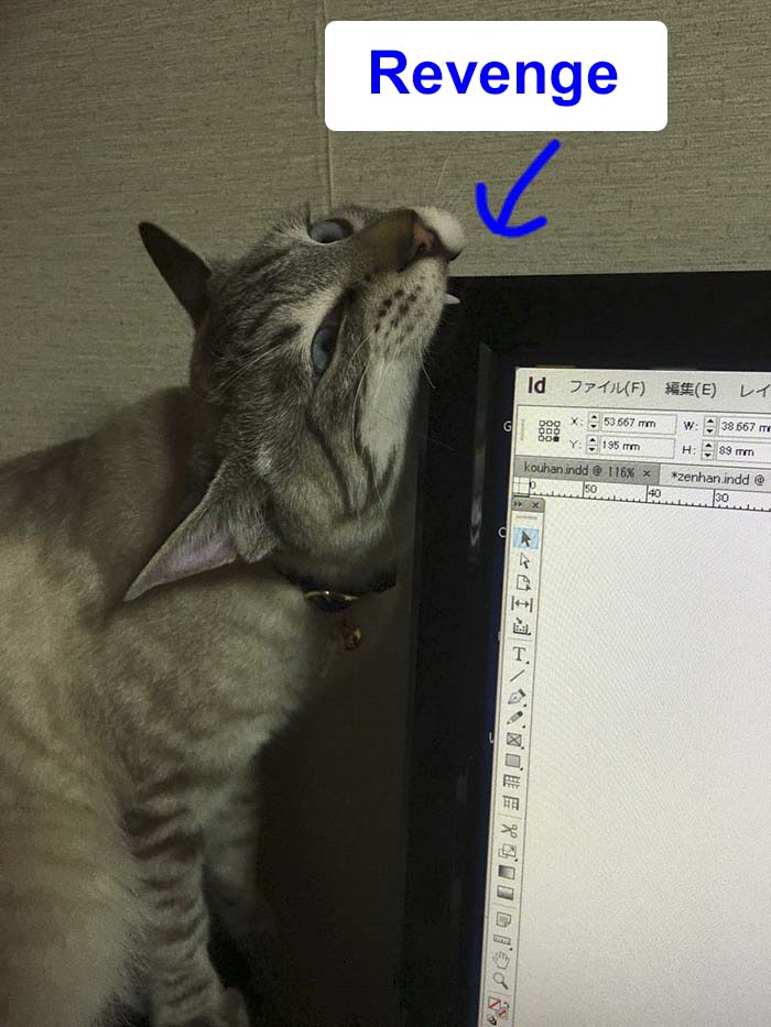 Japanese Man Creates Anti-Cat Keyboard Protection, Tests It On His Cat