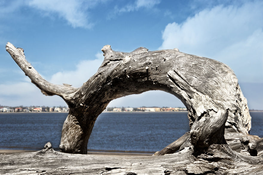 My Wife And I Spent Sometime Photographing The Otherworldly And Breathtaking Views Of Driftwood Beach