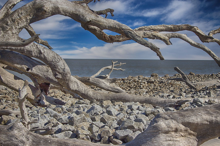 My Wife And I Spent Sometime Photographing The Otherworldly And Breathtaking Views Of Driftwood Beach