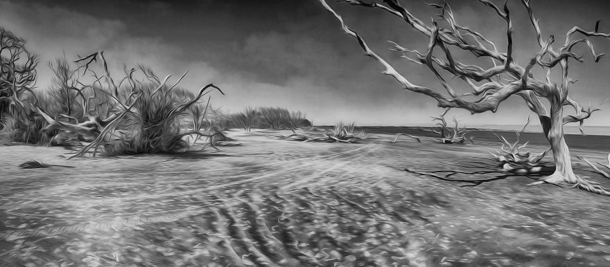 My Wife And I Spent Sometime Photographing The Otherworldly And Breathtaking Views Of Driftwood Beach