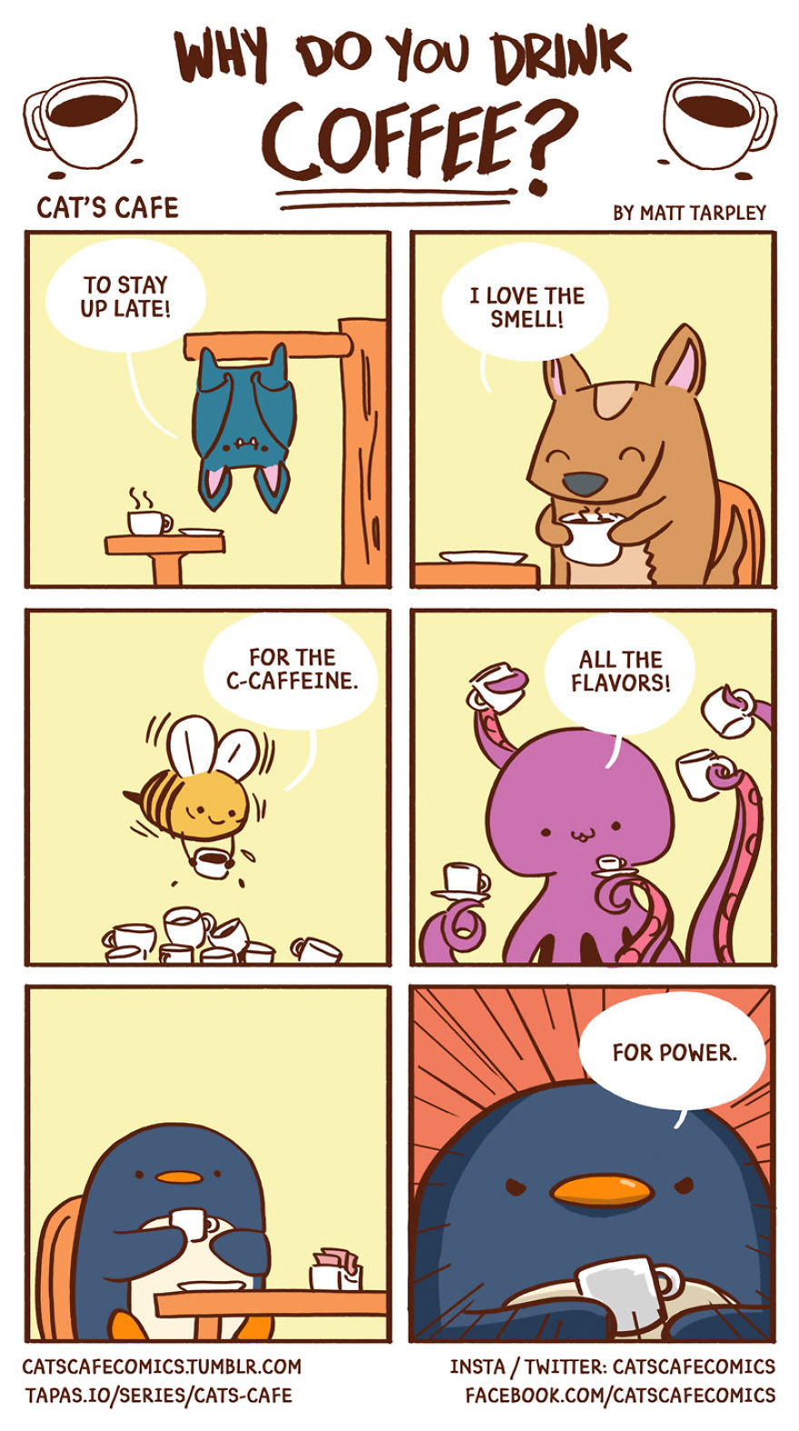 A (Cat's) Café For Everyone