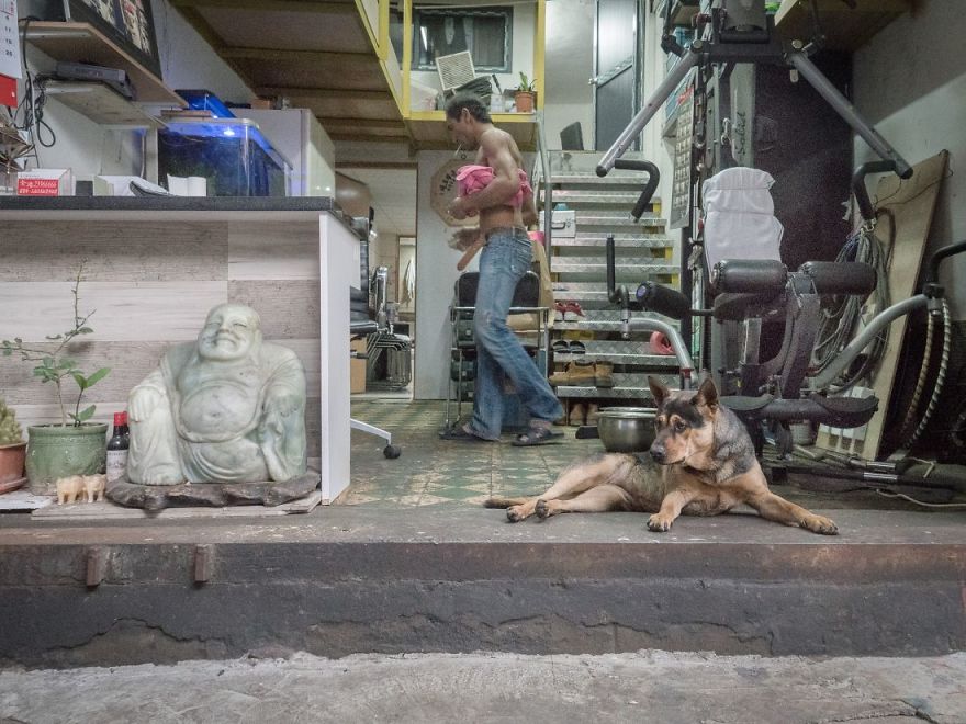 Photographer Does A Brilliant Project On The Dogs Guarding The Auto Thieves Workshops In Hong Kong