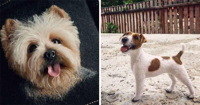 Woman Creates Woolen Versions Of People’s Pets And They Almost Look Real