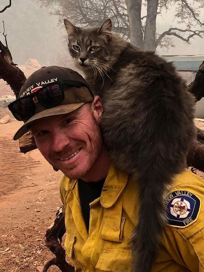 Firefighter Saves Cat From Wildfire In California, And Now She Can't Thank Him Enough