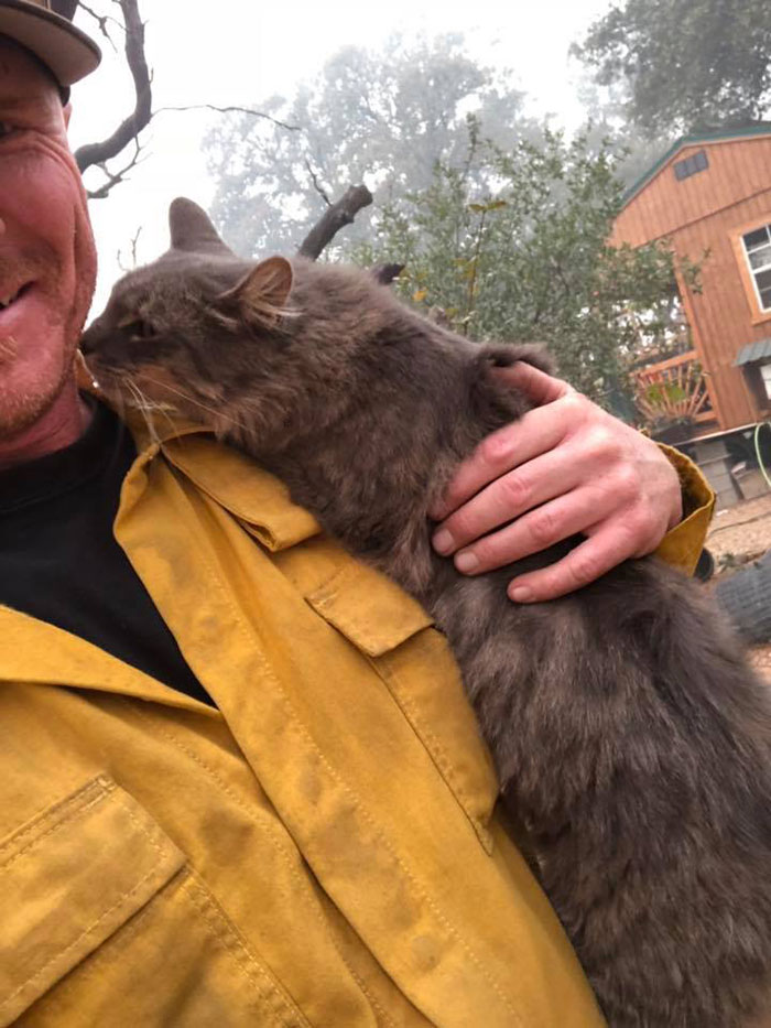 Este bombero salvó a una gata en los incendios de California, y ahora ella no para de agradecérselo