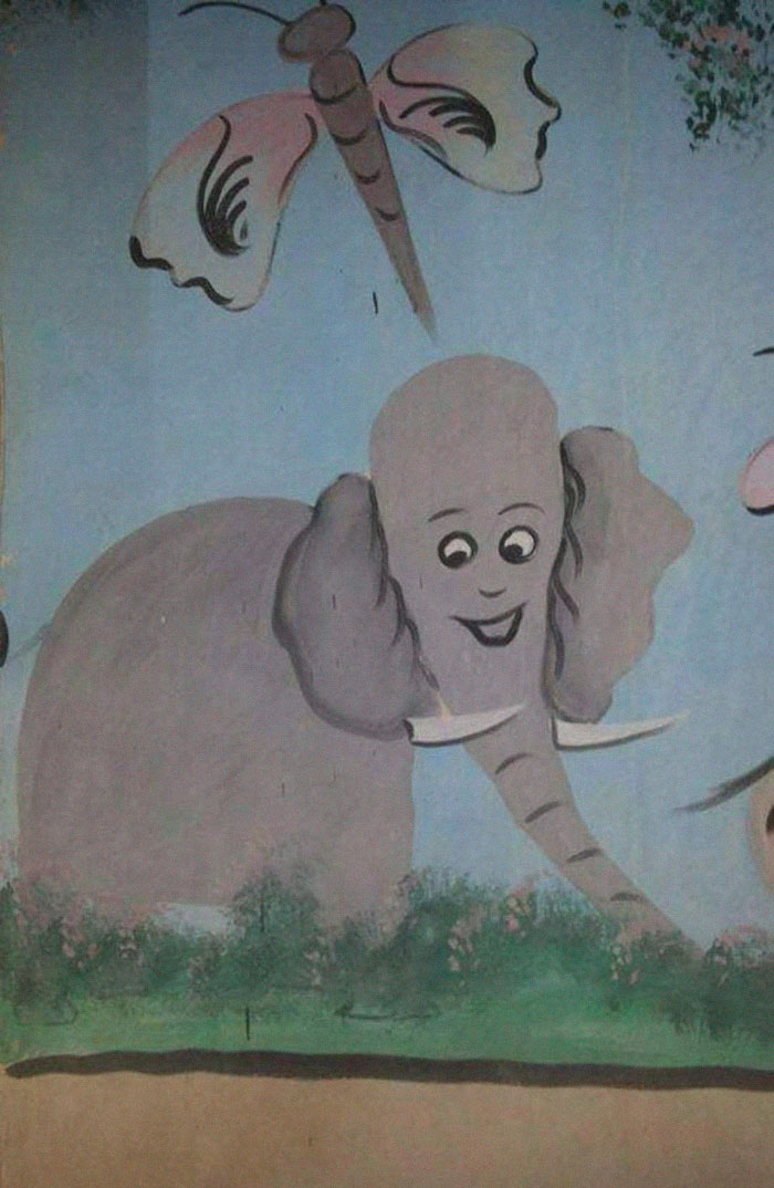 Sí, este es el aspecto de los elefantes