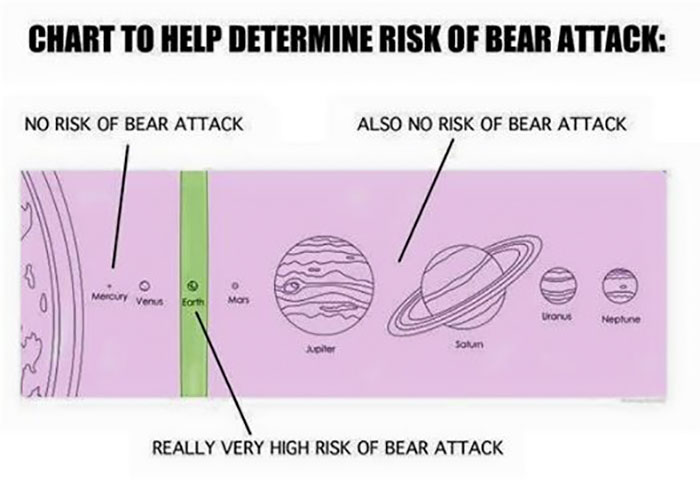 Chart To Determine Risk Of Bear Attack