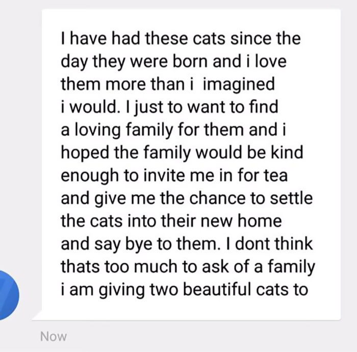 Gay Man Gets Turned Down From Adopting A Rescue Cat, So He Shares The Texts Online