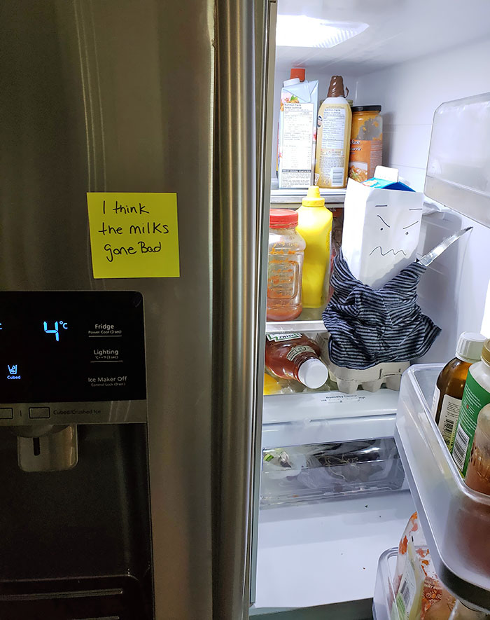 My Wife Has Been Waiting For 2 Days For Me To Open Fridge