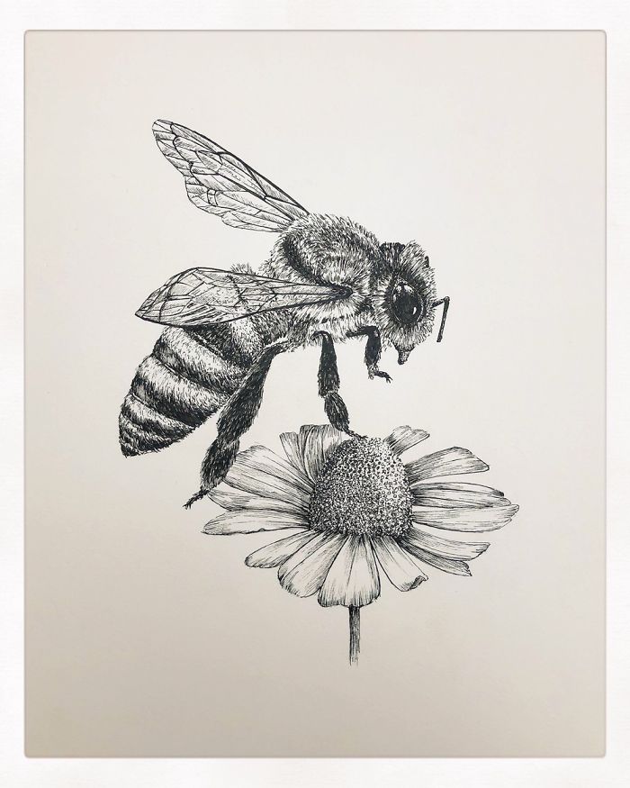 20+ Lovely Detailed Drawings By Bas Geeraets