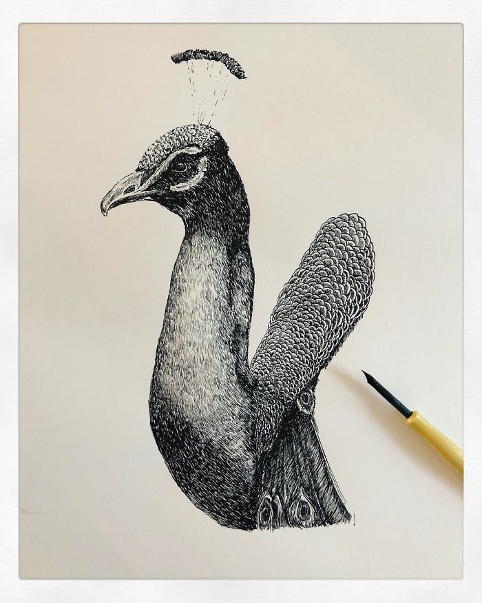20+ Lovely Detailed Drawings By Bas Geeraets