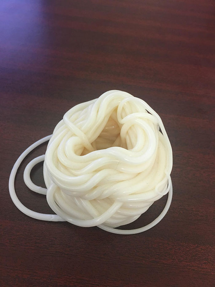 Plastic Engineer Left Some Forbidden Noodles On My Desk