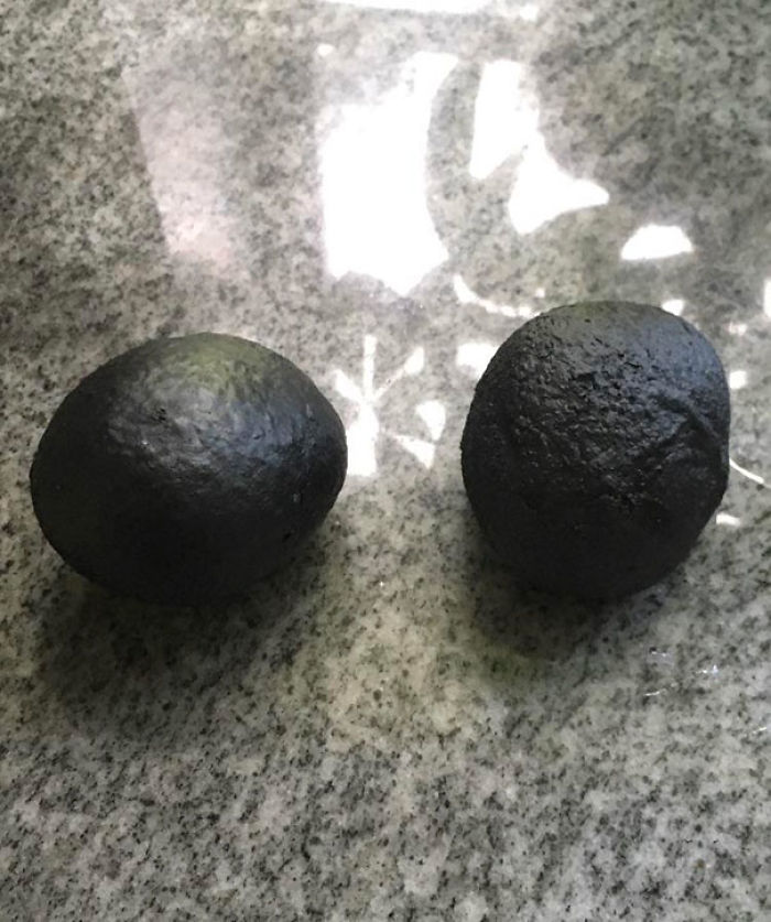 These Are Two Rolls My Friend Forgot About In The Oven For 4 Hours Looking Like Forbidden Avocados