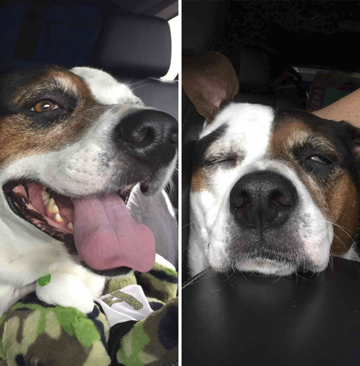 On The Way To The Lake Vs. On The Way Home From The Lake