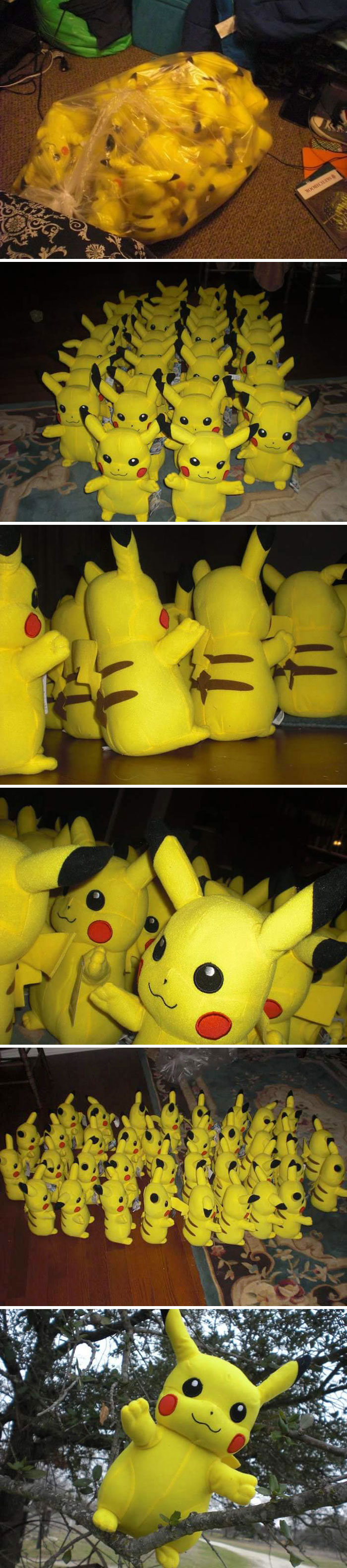 On This Day In 2011, I Found 36 Stuffed Pikachus At A Salvation Army