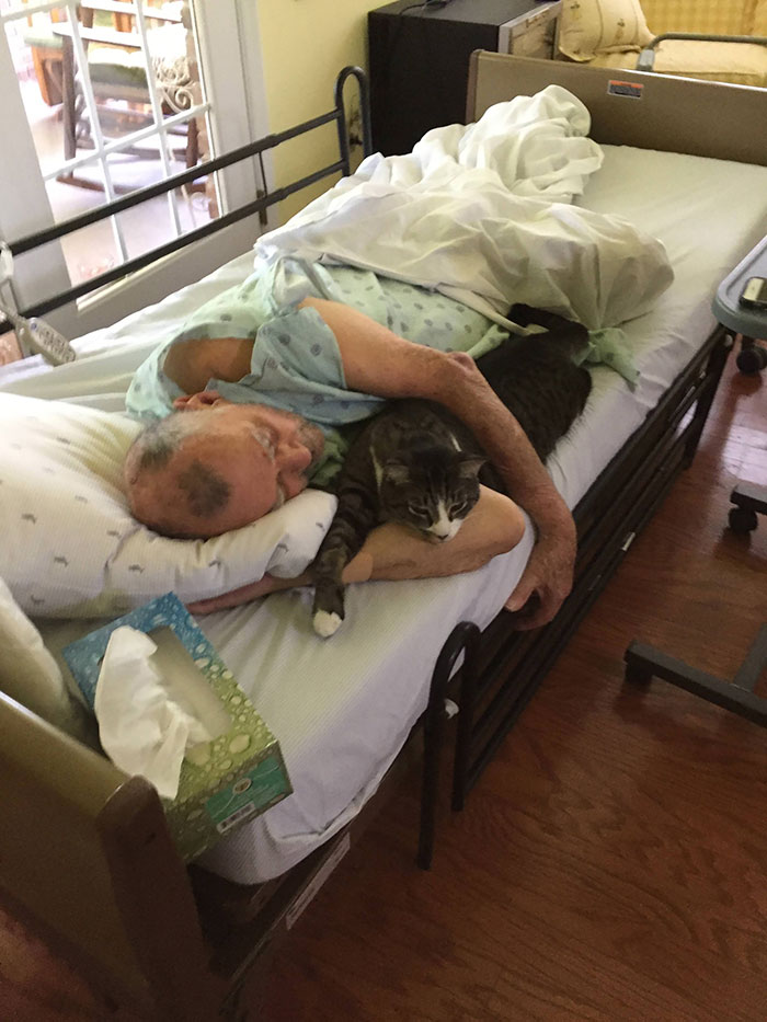 Mi padre en su última semana en el hospicio, con su gato Brady