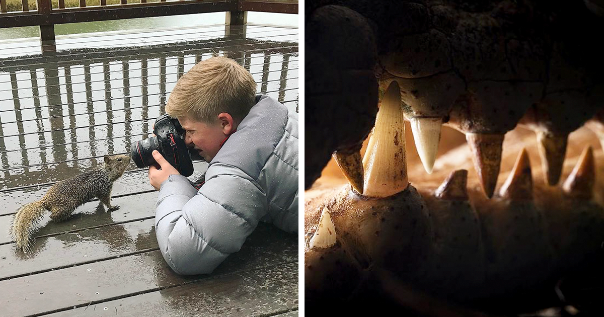 Steve Irwin's 14-Year-Old Son Is An Award-Winning Photographer And Here Are  50 Photos To Prove It | Bored Panda