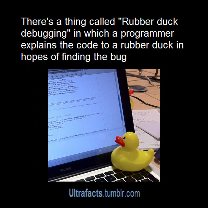 Authenticatie Maori Oranje Programmer Explains Why They Keep Rubber Ducks By Their Computers | Bored  Panda