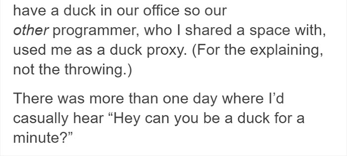 Programmer Explains Why They Keep Rubber Ducks By Their Computers