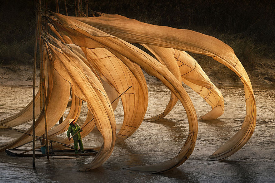 Flying Fishing Nest, China (3rd Place In General Color Category)