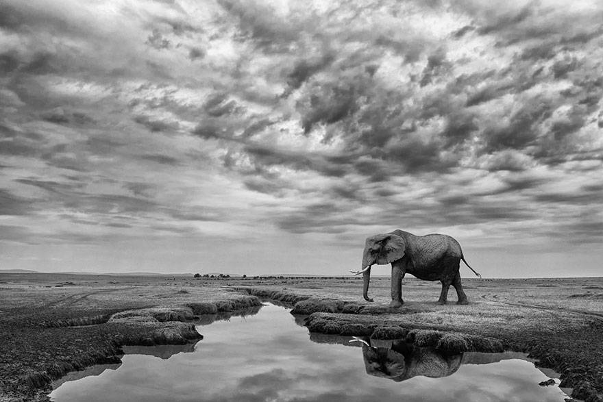 Giant Serenity, Kenya (Honorable Mention In General Monochrome Category)
