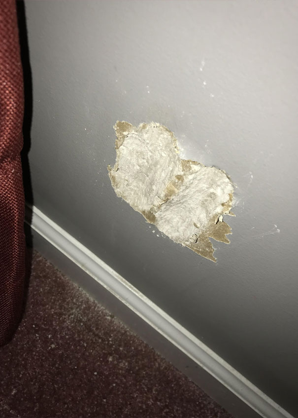 My Dog Ate The Wall