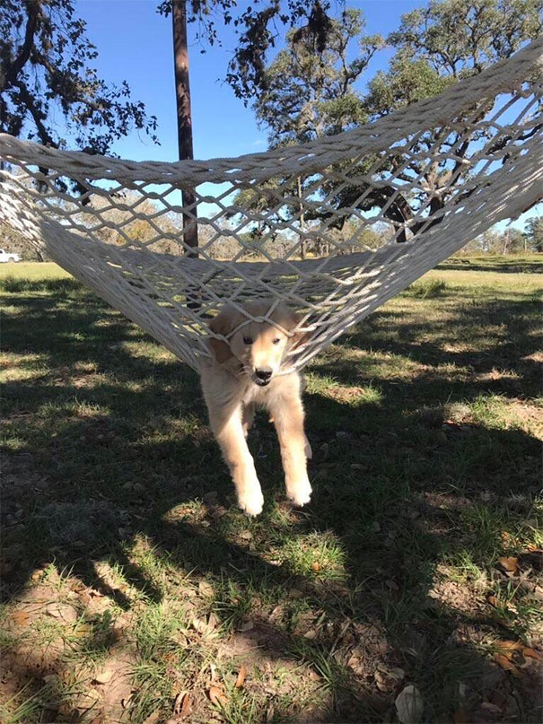 Learning How To Hammock, It’s A Steep Learning Curve