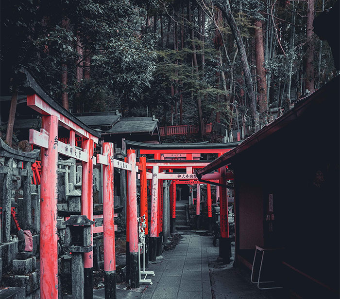 I Spent A Weekend Photographing In Kyoto, Japan And These Are My Favorite Shots (23 Pics)
