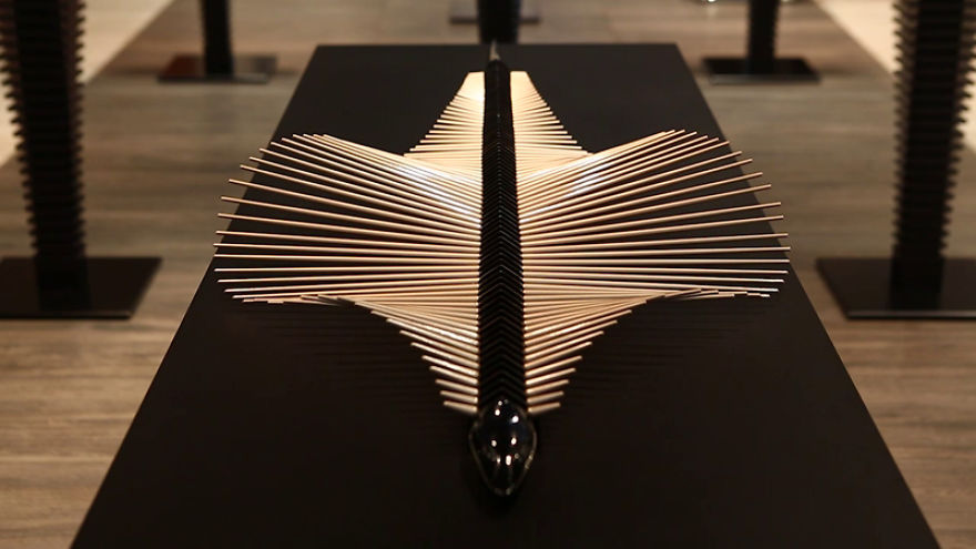 Stingray Stingray