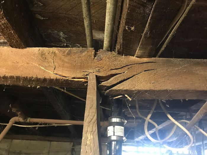 Weird-Things-Structural-Inspections