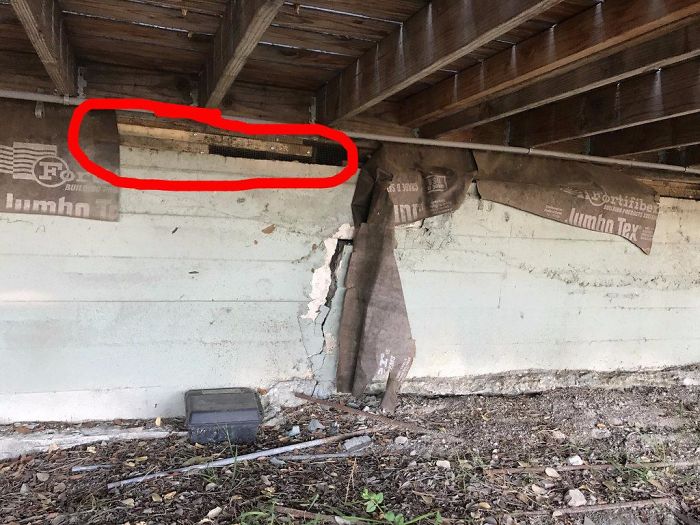 Weird-Things-Structural-Inspections