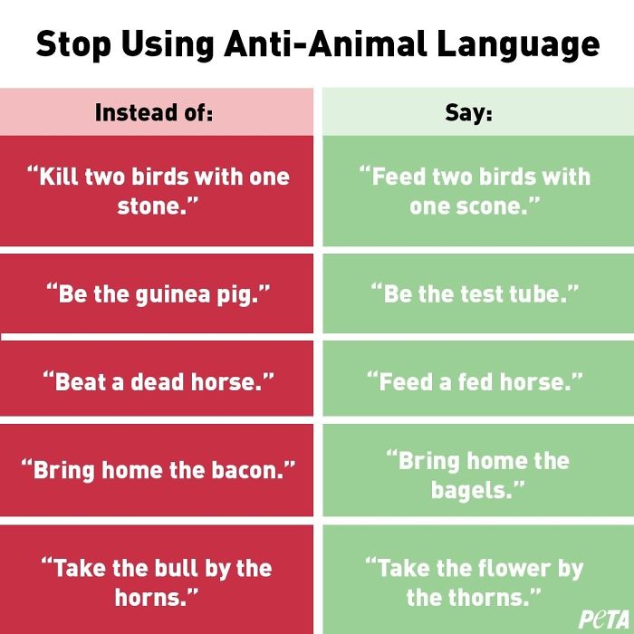 PETA Asks People To Stop Using "Anti-Animal" Phrases And People Can't Help But Laugh
