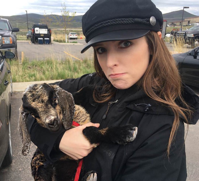 25 Pics Of Anna Kendrick With Animals That Will Make You Fall In Love Even  More