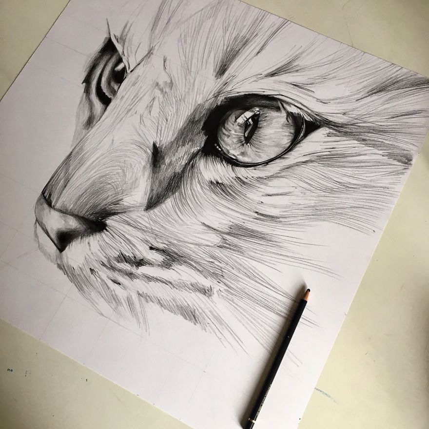 It Took Me 40 Hours To Draw This Cat