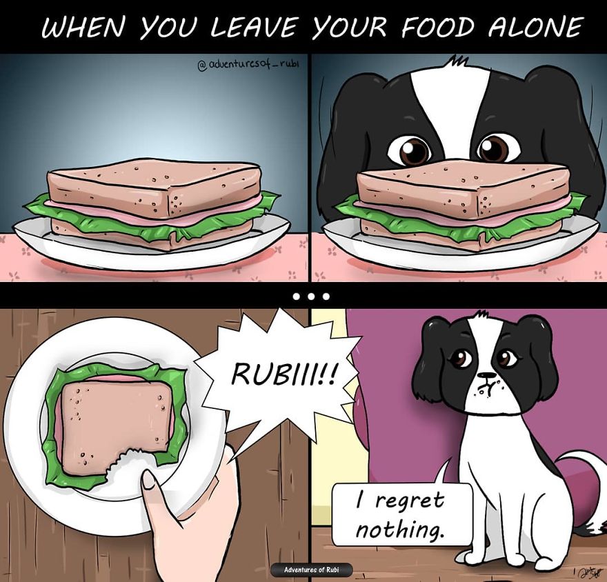 12 Comics That Every Dog Owners Will Understand