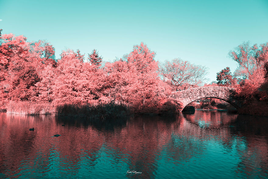 Italian Photographer Captures The World In Infrared And It Is The Best Thing You Would Ever See