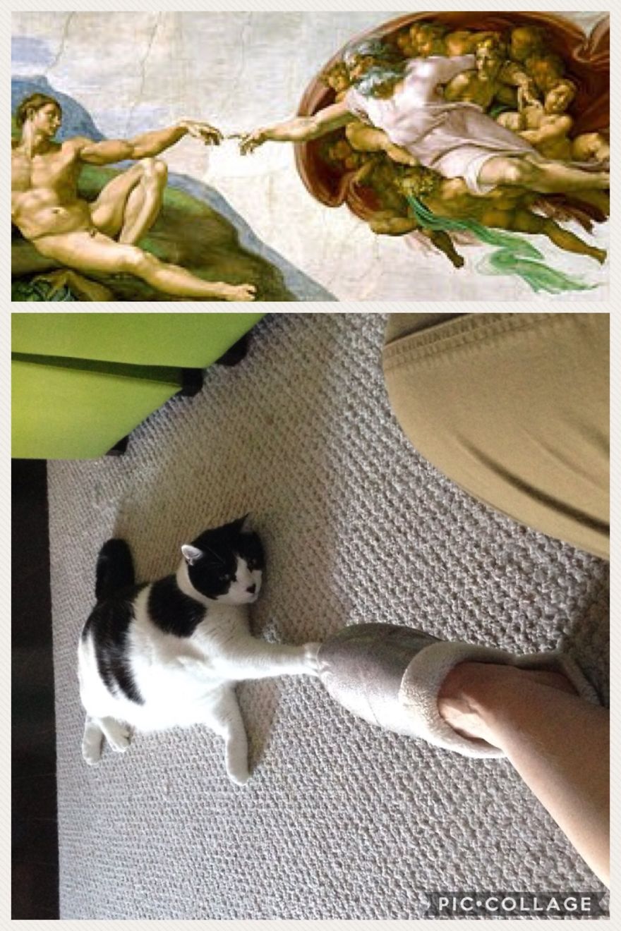 Recreating Famous Art With My Cat