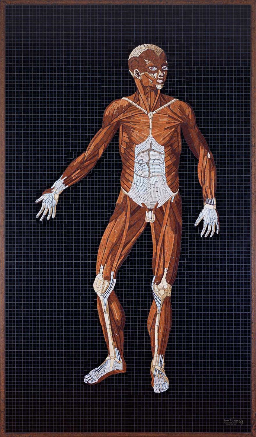 I Used Marble, Stone And Precious Gems To Create Realistic Mosaics Of 16th Century Anatomical Drawings