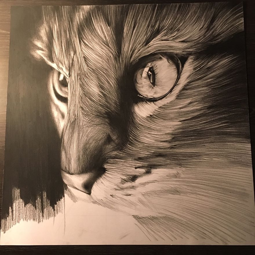 It Took Me 40 Hours To Draw This Cat