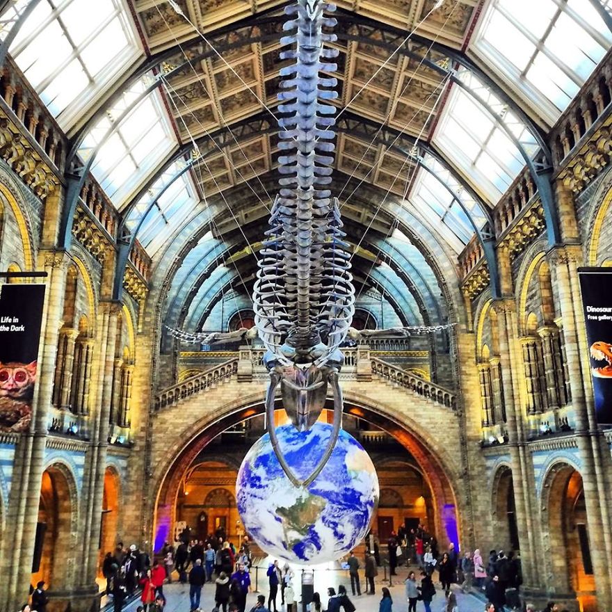 I Visited Natural History Museum In London And I Was Amazed