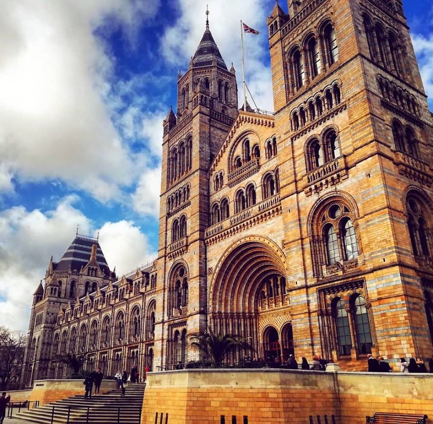I Visited Natural History Museum In London And I Was Amazed
