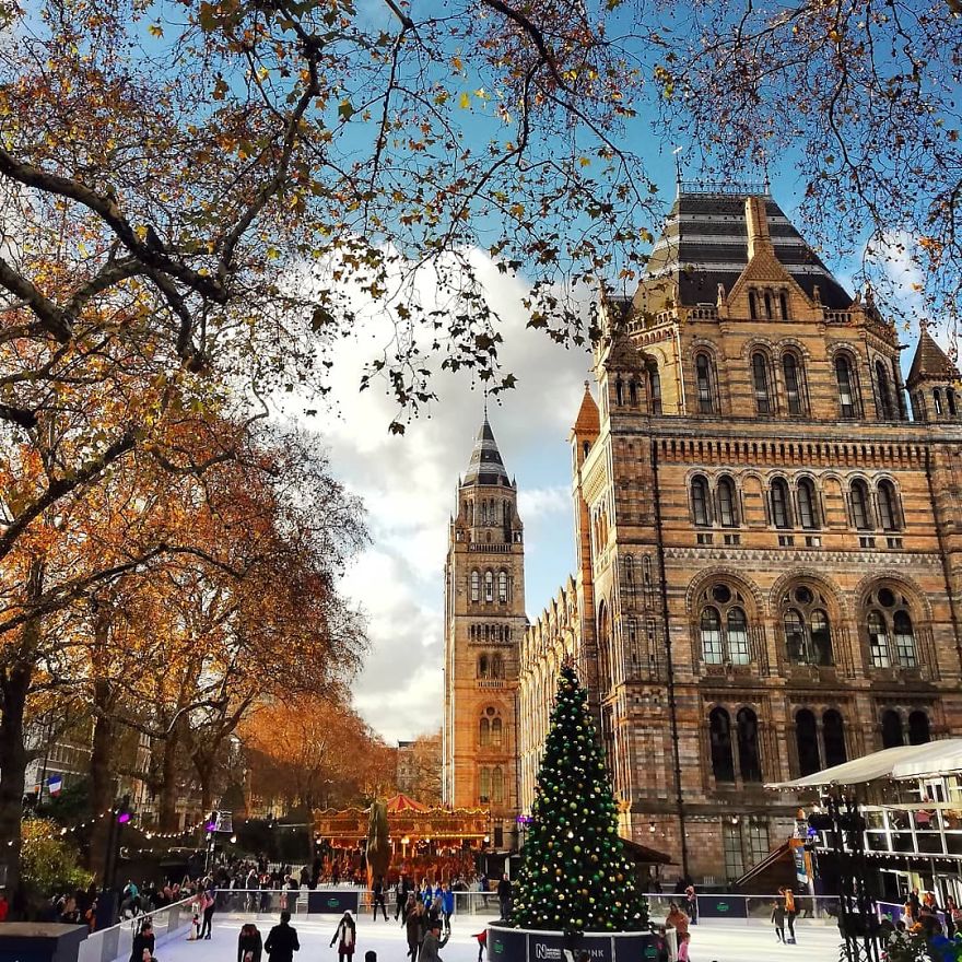 I Visited Natural History Museum In London And I Was Amazed